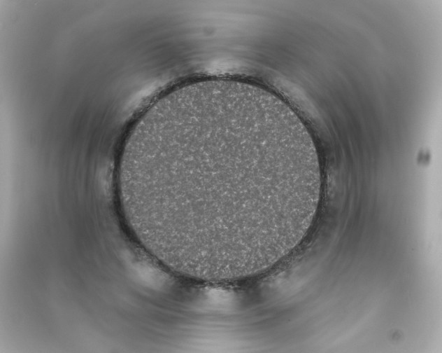 X0000090500592200708102242