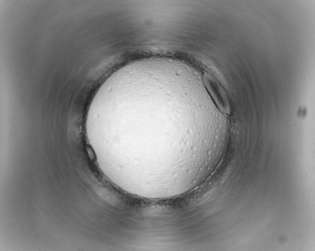 X0000090500593200708102242