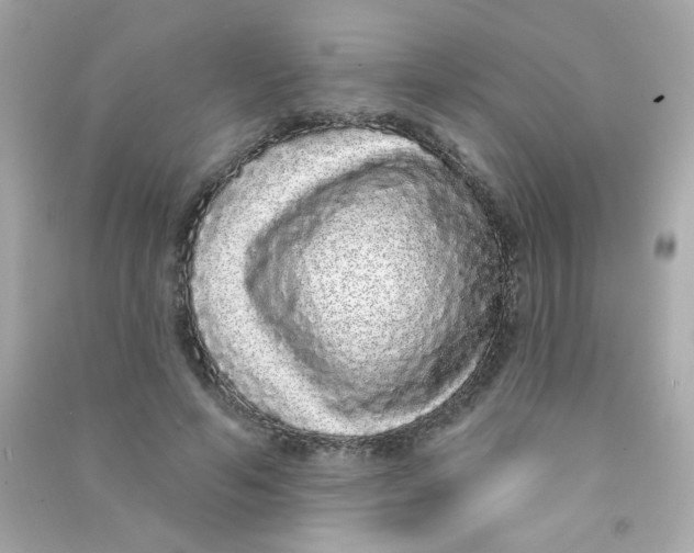X0000090500594200708102242