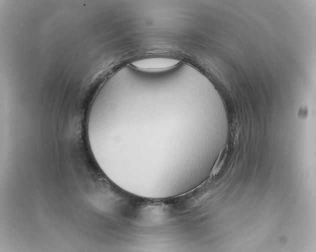 X0000090500595200708102242