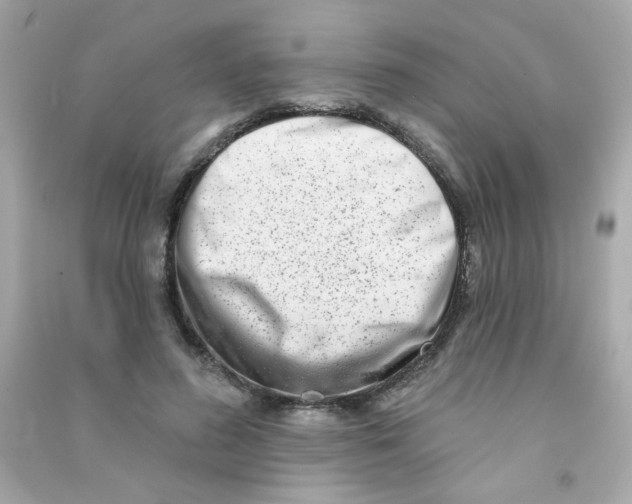 X0000090500596200708102242