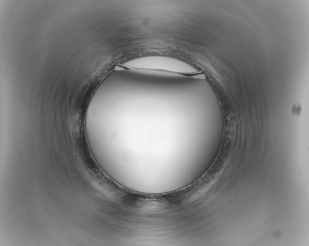 X0000090500597200708102242