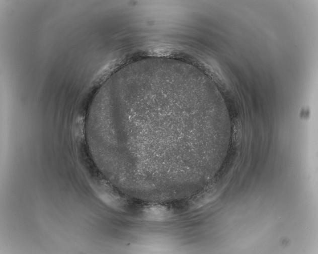 X0000090500598200708102242