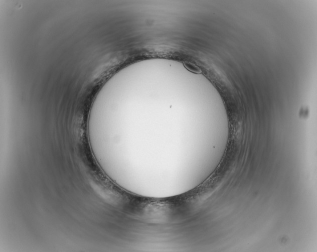 X0000090500599200708102242