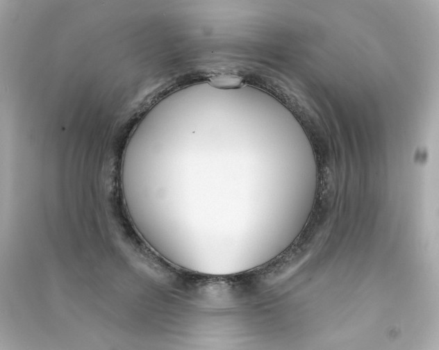 X0000090500600200708102242