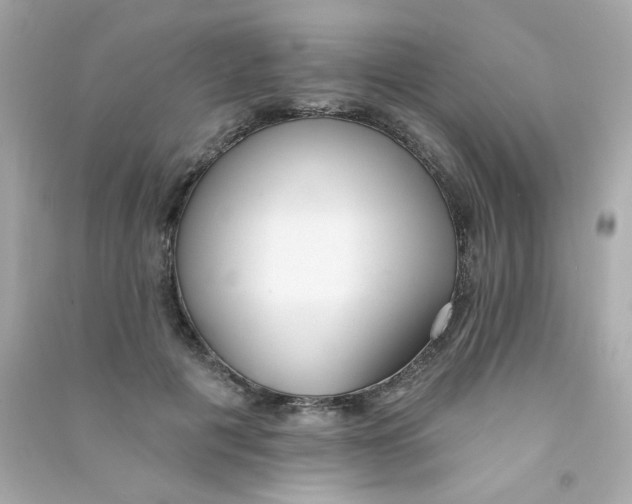X0000090500601200708102242
