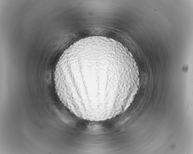 X0000090500602200708102242