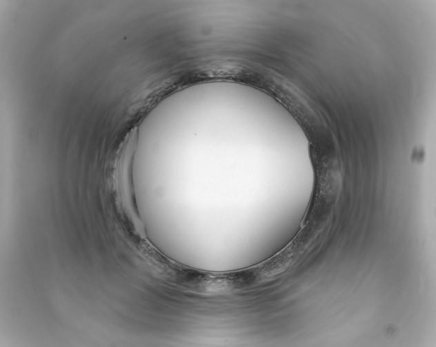 X0000090500604200708102242
