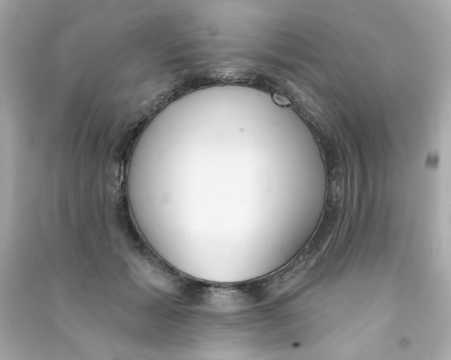 X0000090500605200708102242
