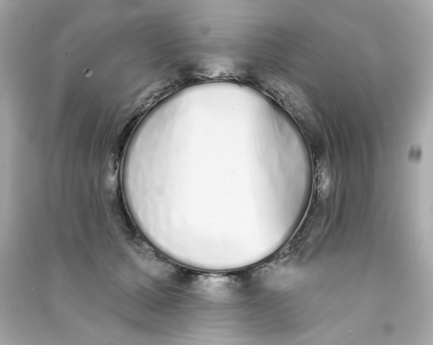 X0000090500607200708102242