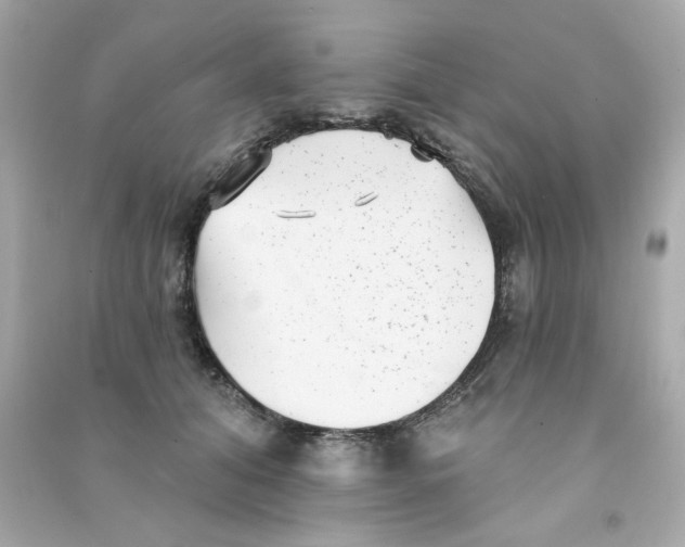 X0000090500608200708102242