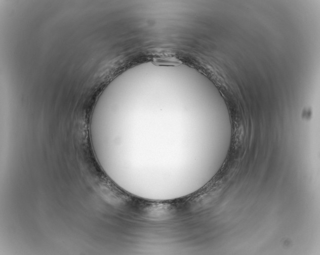 X0000090500609200708102242