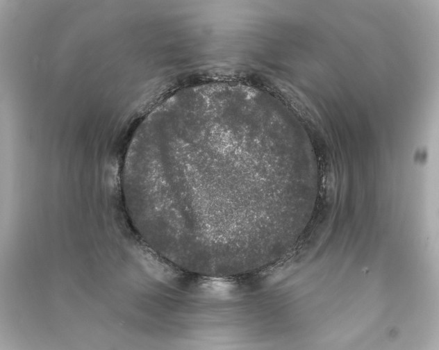 X0000090500610200708102242
