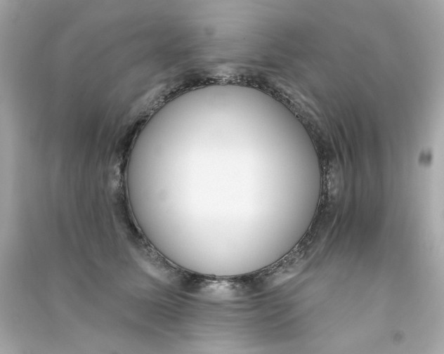 X0000090500611200708102242