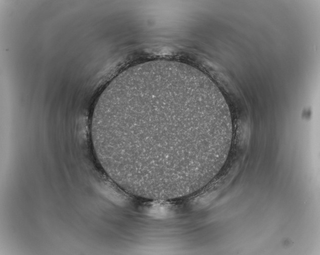 X0000090500612200708102242