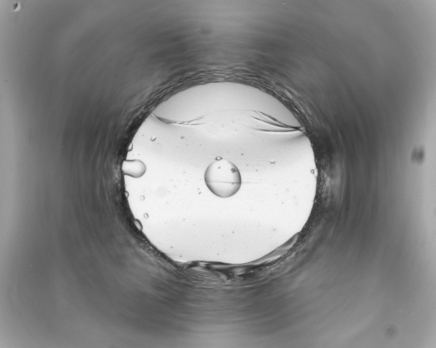 X0000090500613200708102242