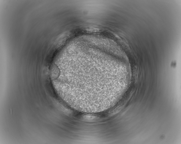 X0000090500614200708102242