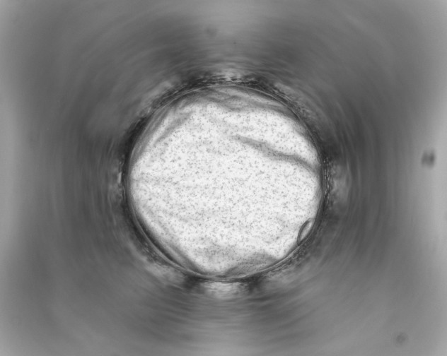 X0000090500615200708102242