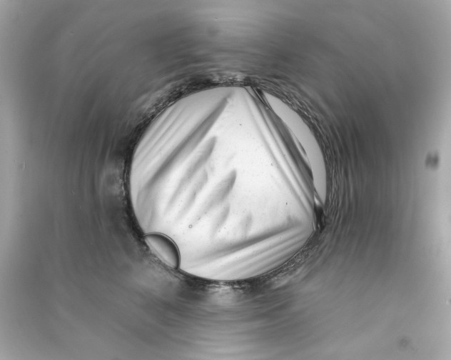 X0000090500616200708102242