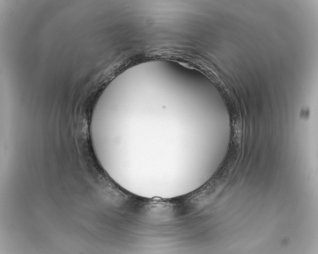 X0000090500617200708102242
