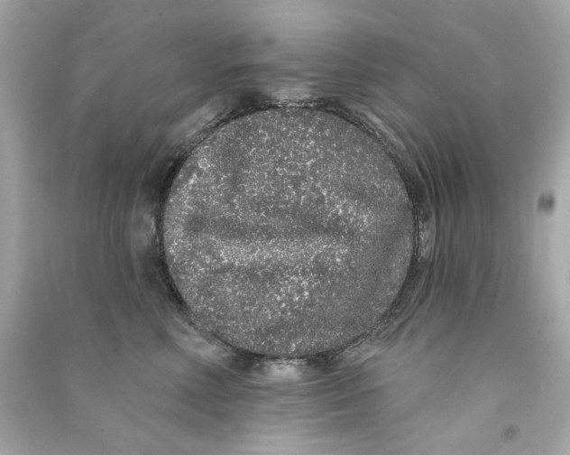 X0000090500618200708102242