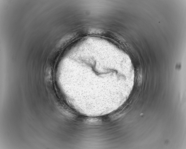 X0000090500619200708102242