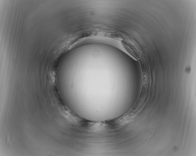 X0000090500621200708102242