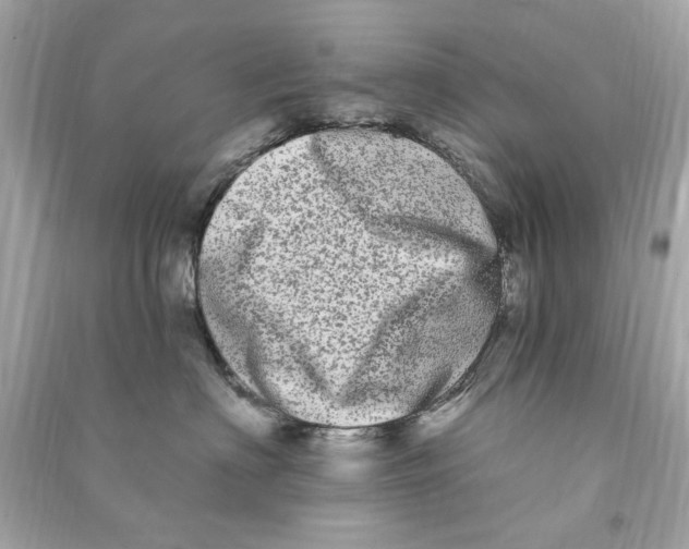 X0000090500622200708102242