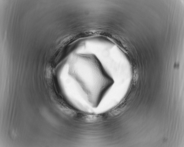 X0000090500623200708102242