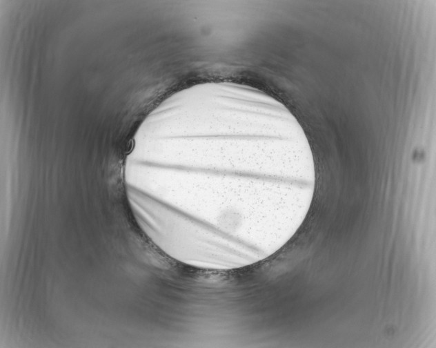 X0000090500624200708102242