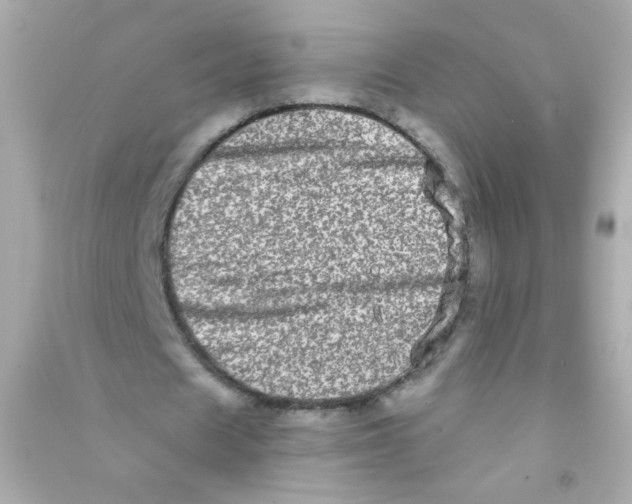 X0000090500625200708102241