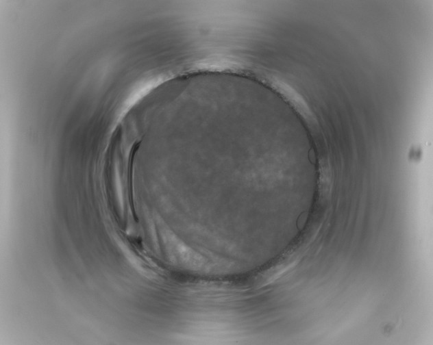 X0000090500626200708102241