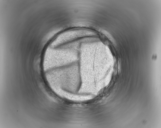 X0000090500627200708102241