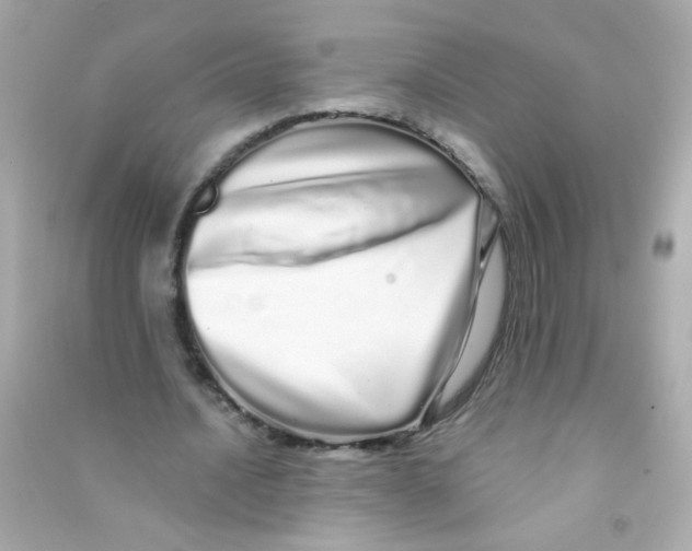 X0000090500628200708102241