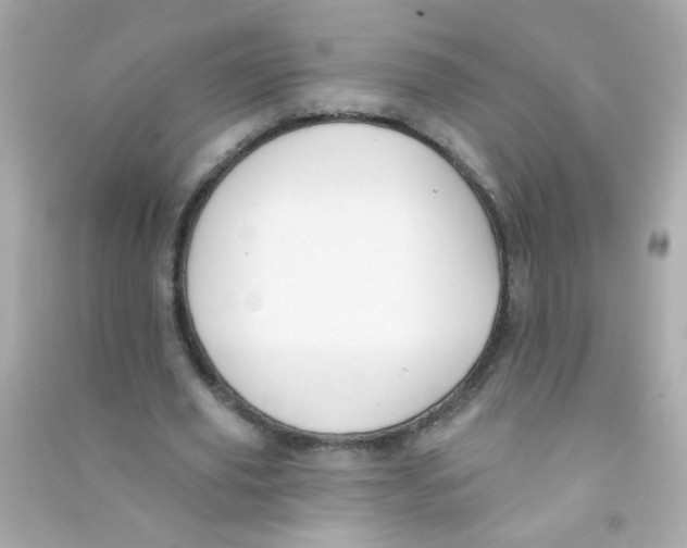 X0000090500629200708102241