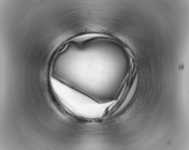 X0000090500630200708102241