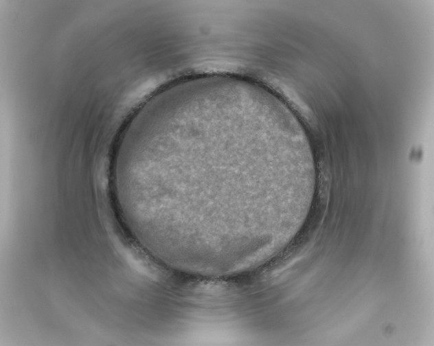 X0000090500631200708102241