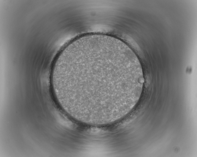 X0000090500632200708102241