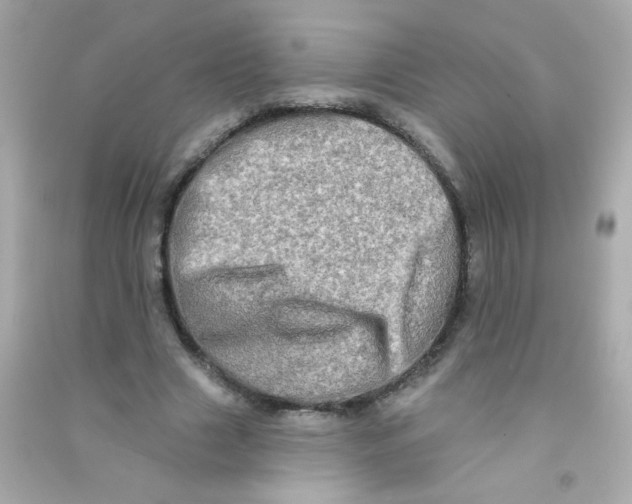 X0000090500633200708102241