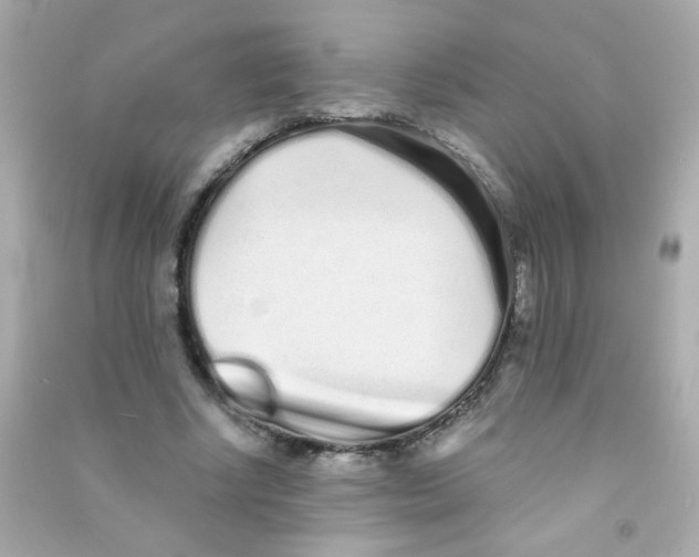 X0000090500634200708102242