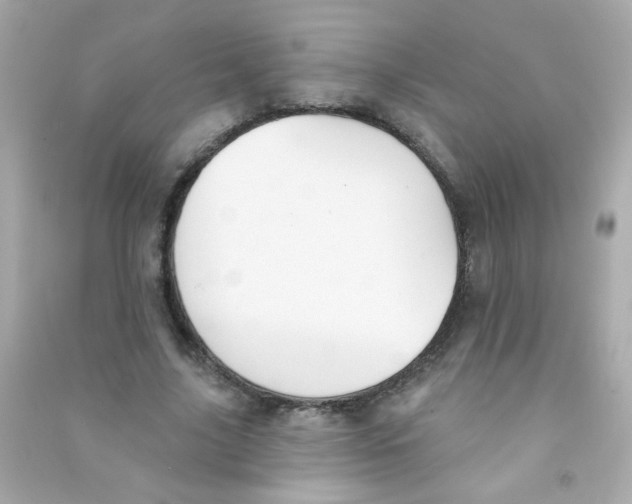 X0000090500635200708102242