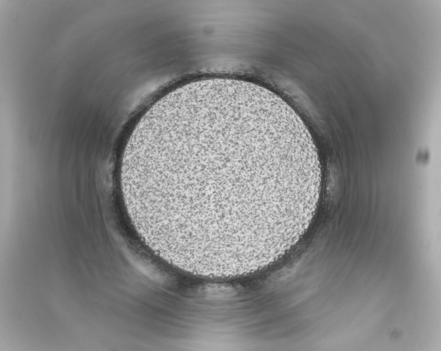X0000090500636200708102242