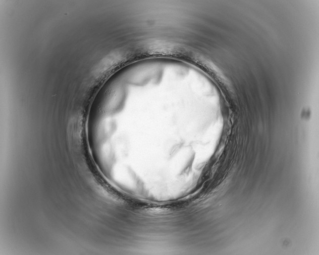 X0000090500637200708102242