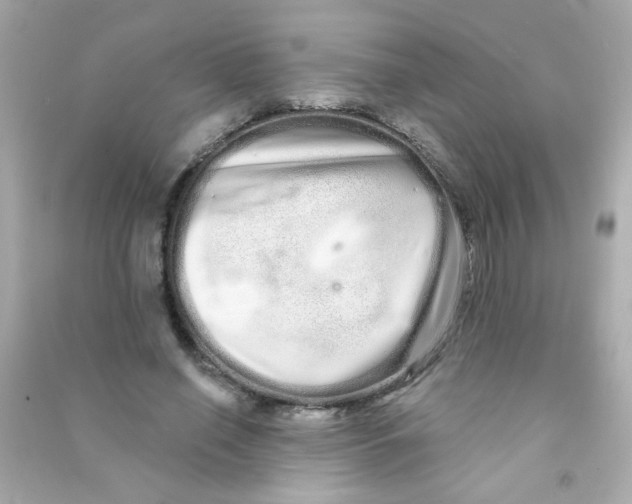 X0000090500638200708102242