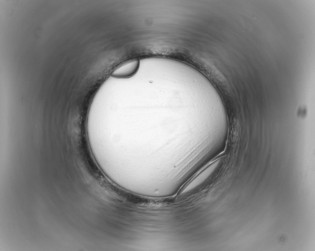 X0000090500639200708102242