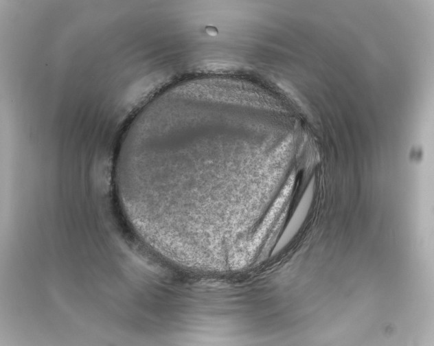 X0000090500640200708102242
