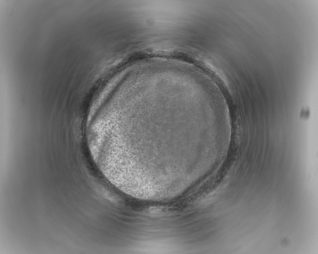 X0000090500641200708102242