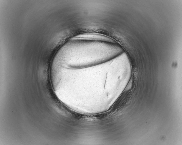 X0000090500642200708102242