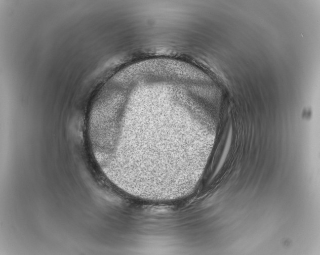 X0000090500643200708102242