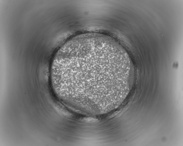 X0000090500644200708102242